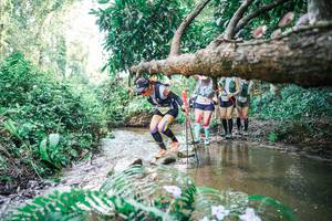 BIB: 
                            <button type="button" onclick="openModal(25477580)" class="btn btn-primary btn-sm float-right btn-popup" data-toggle="modal" data-target=".modal-high-quality">
                        <i class="fas fa-shopping-cart"></i> Add to Cart
                    </button>
                                            <button type="button" onclick="isThisMe(25477580, true)" class="btn btn-success btn-sm float-right btn-popup btn-isme hidden" data-toggle="tooltip" data-placement="bottom" title="นี่คือรูปของคุณใช่ไหม คลิกที่นี่เพื่อเอาเข้าอัลบั้ม">
                        <i class="fas fa-plus"></i> Add to album
                    </button>
                    <button type="button" onclick="isThisMe(25477580, false)" class="btn btn-warning btn-sm float-right btn-popup btn-isnotme hidden">
                        <i class="fas fa-ban"></i> Remove from album
                    </button>